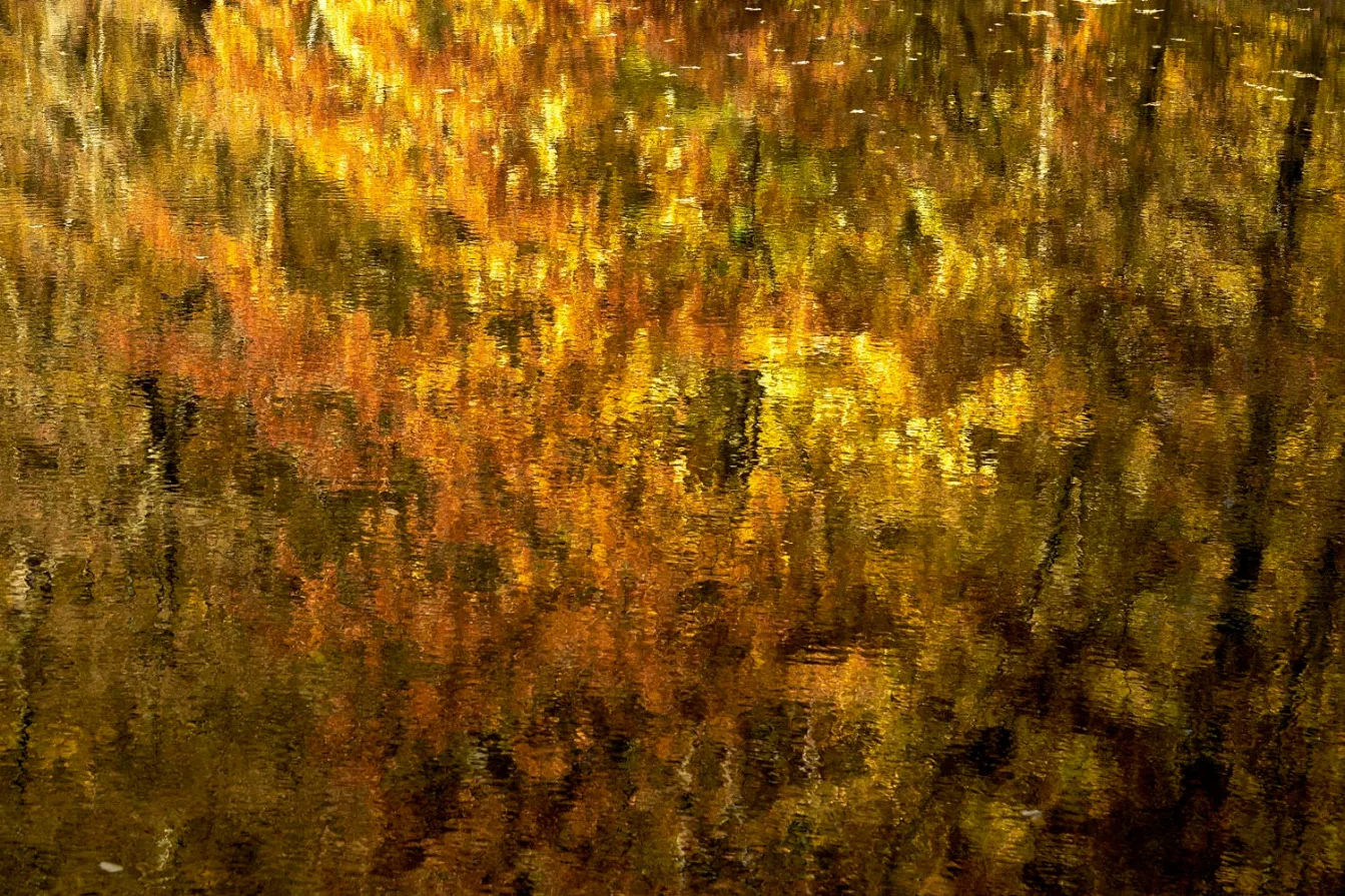Photos d’Automne
