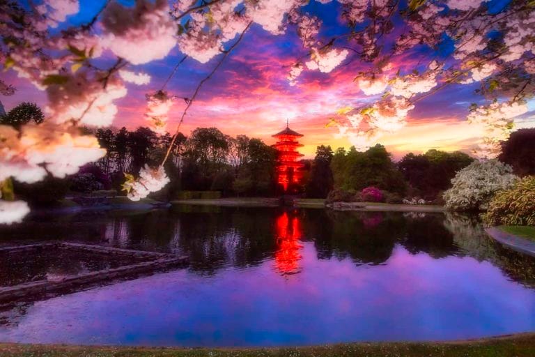 La tour japonaise photographiée du domaine des serres royales de laeken