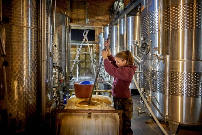 Photographe professionnel Bruxelles